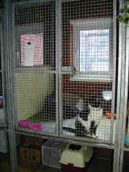 Each individual home is large and comfortable, allowing your animal to have a relaxing stay.