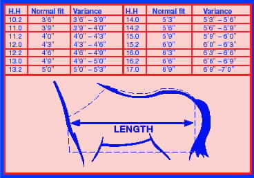 Ifield-Park Luxury Cattery & Kennels